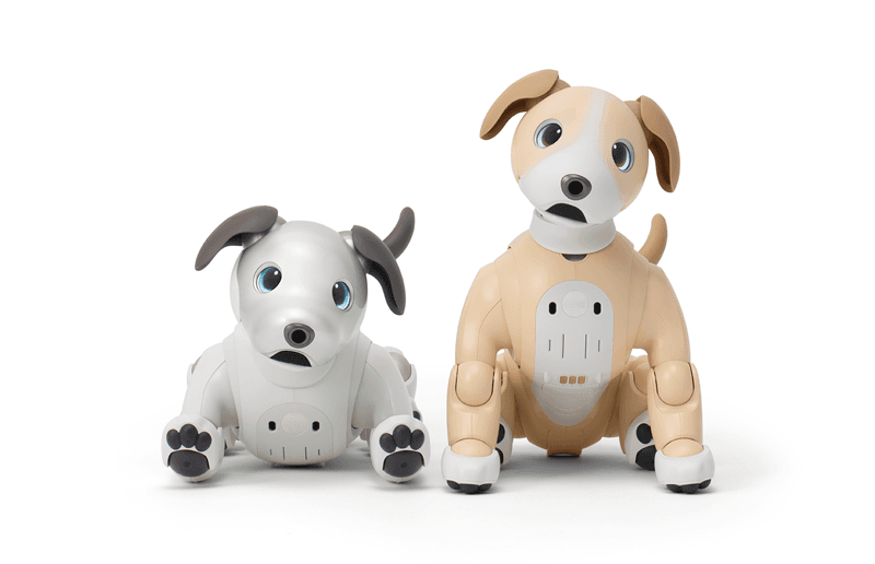 Sony aibo