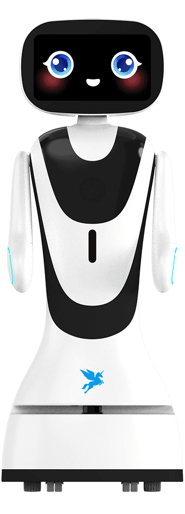 Casun NMR F600