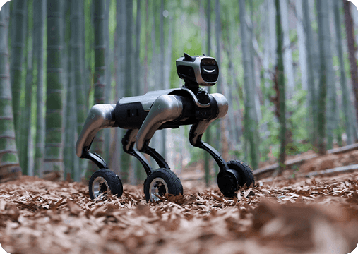 MagicLab MagicDog-W
